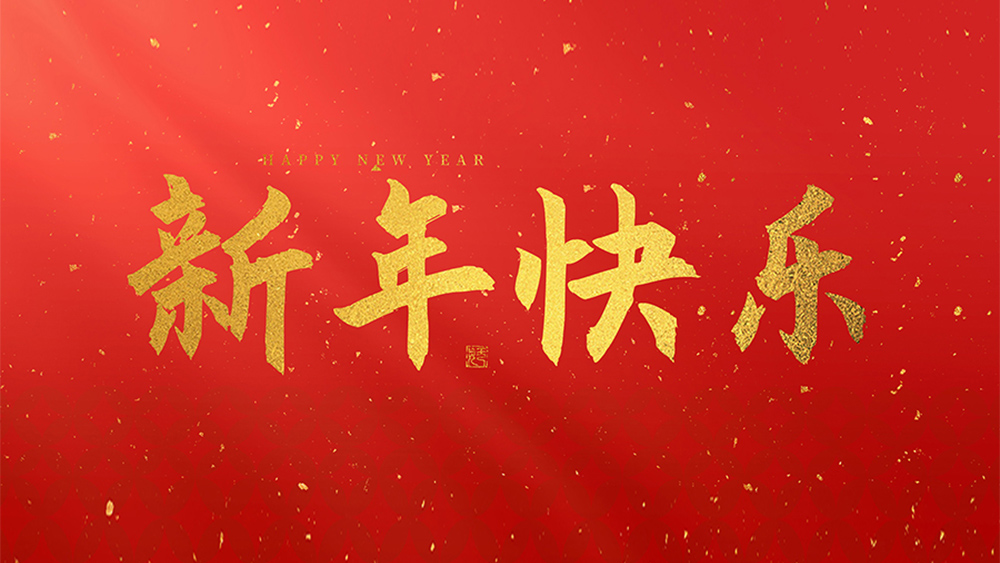 麗水市威儀自動(dòng)化技術(shù)有限公司祝全國(guó)人民2025新年快樂(lè)！